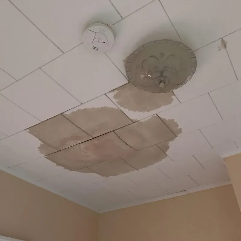 Ceiling Water Damage Repair in Sullivan County, PA