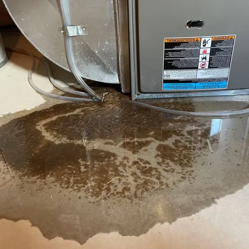 Pipe Burst and Leak Restoration in Sullivan County, PA